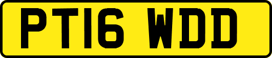 PT16WDD
