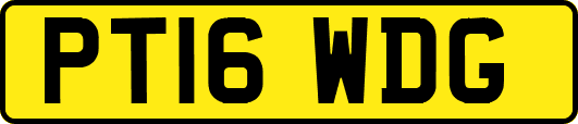 PT16WDG