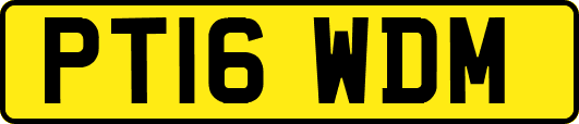 PT16WDM