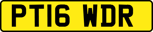 PT16WDR