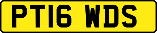 PT16WDS