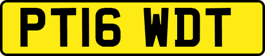 PT16WDT