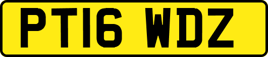 PT16WDZ