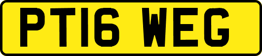 PT16WEG