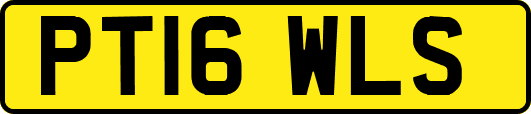 PT16WLS
