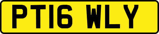 PT16WLY