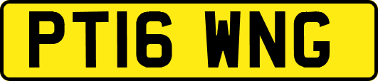 PT16WNG