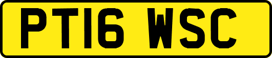 PT16WSC