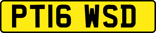 PT16WSD