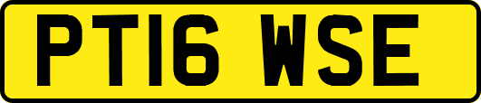 PT16WSE