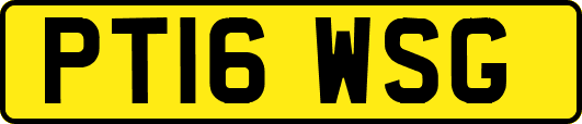 PT16WSG