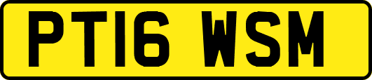 PT16WSM