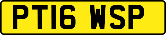 PT16WSP