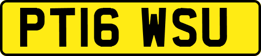 PT16WSU