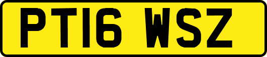 PT16WSZ
