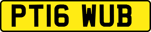 PT16WUB