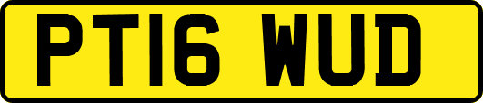 PT16WUD