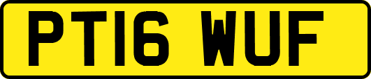 PT16WUF