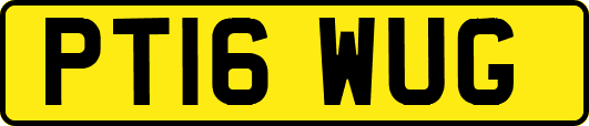 PT16WUG
