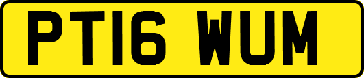 PT16WUM