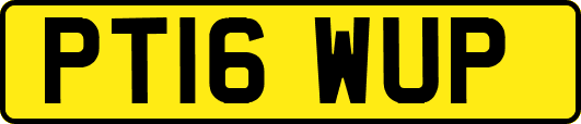 PT16WUP