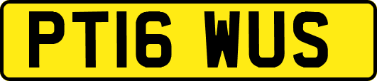 PT16WUS