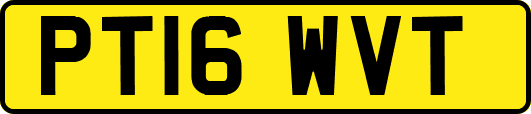 PT16WVT