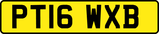 PT16WXB