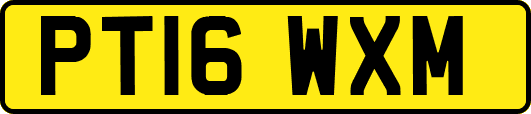 PT16WXM