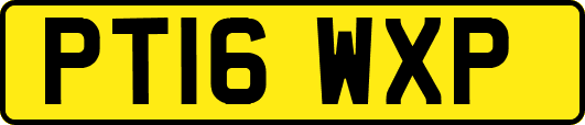 PT16WXP