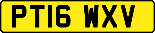 PT16WXV