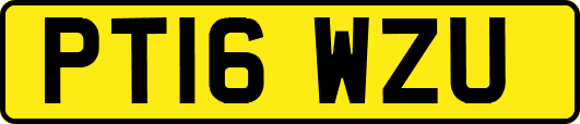 PT16WZU