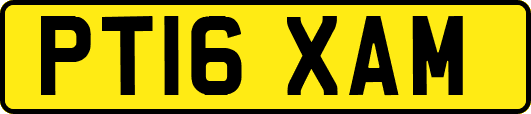 PT16XAM