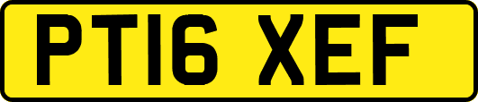 PT16XEF