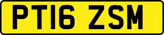 PT16ZSM