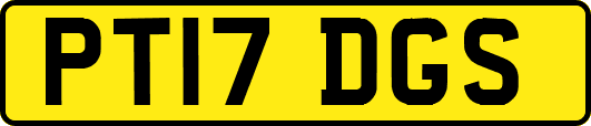 PT17DGS
