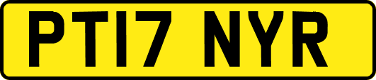 PT17NYR