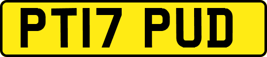 PT17PUD