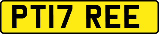 PT17REE