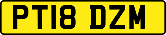 PT18DZM