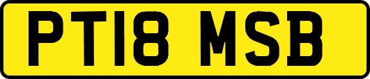 PT18MSB