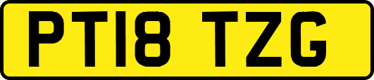 PT18TZG
