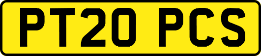 PT20PCS