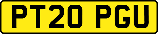 PT20PGU
