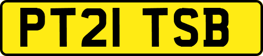 PT21TSB