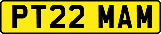 PT22MAM