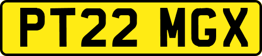PT22MGX