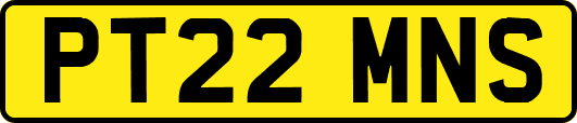 PT22MNS
