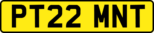 PT22MNT