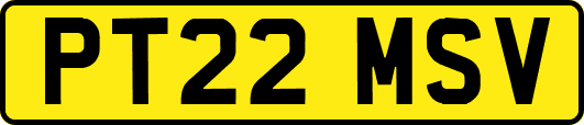 PT22MSV